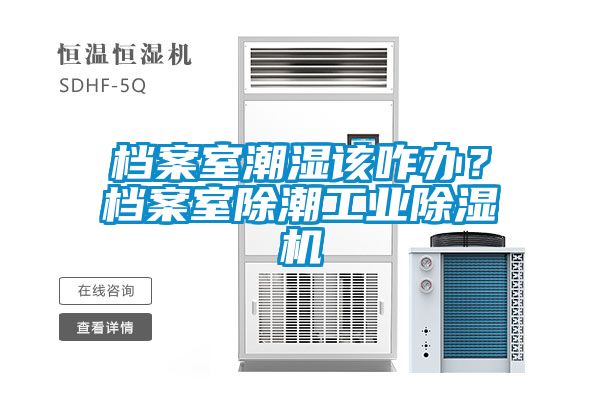 檔案室潮濕該咋辦？檔案室除潮工業除濕機