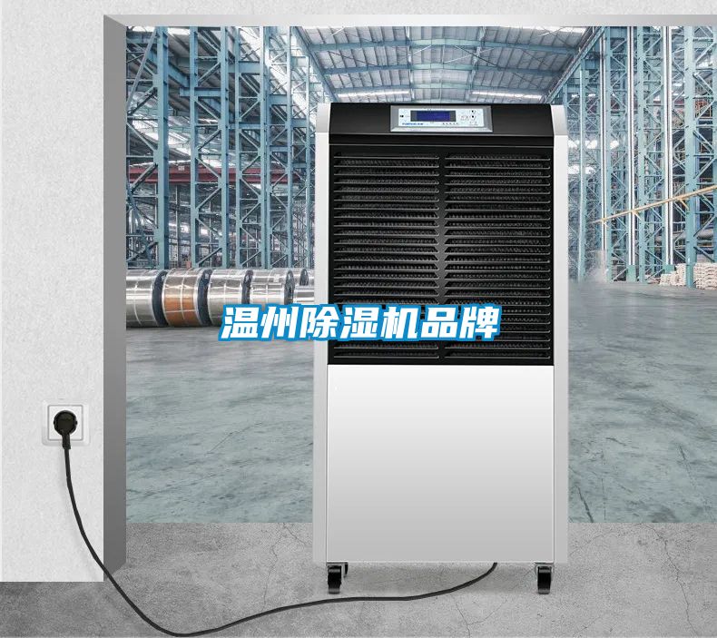 溫州除濕機(jī)品牌