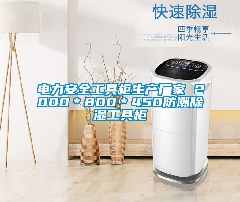 電力安全工具柜生產廠家 2000*800*450防潮除濕工具柜