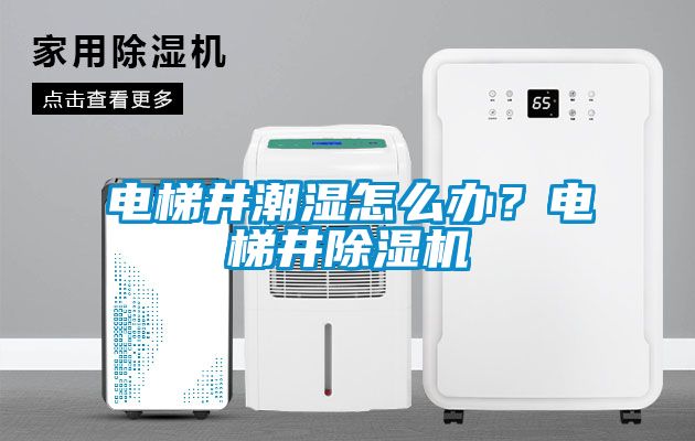 電梯井潮濕怎么辦?電梯井除濕機