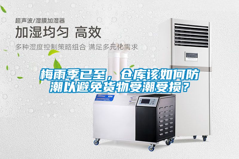 梅雨季已至，倉庫該如何防潮以避免貨物受潮受損？