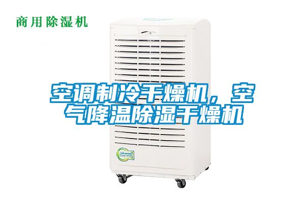 空調制冷干燥機，空氣降溫除濕干燥機