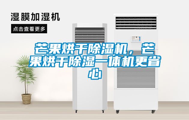 芒果烘干除濕機(jī),芒果烘干除濕一體機(jī)更省心