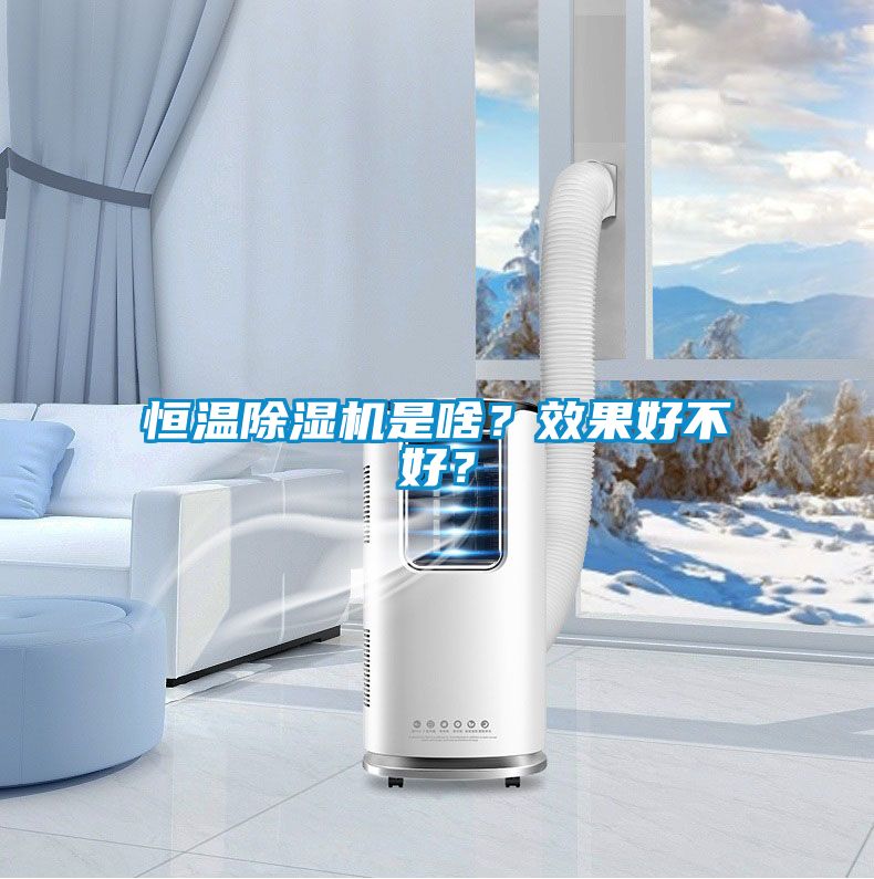 恒溫除濕機(jī)是啥？效果好不好？