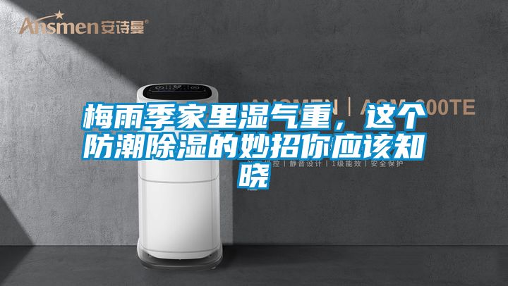 梅雨季家里濕氣重，這個(gè)防潮除濕的妙招你應(yīng)該知曉
