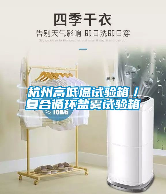 杭州高低溫試驗(yàn)箱／復(fù)合循環(huán)鹽霧試驗(yàn)箱