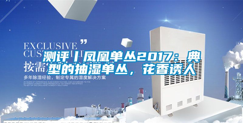 測評丨鳳凰單叢2017：典型的抽濕單叢，花香誘人