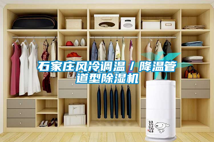 石家莊風(fēng)冷調(diào)溫/降溫管道型除濕機(jī)