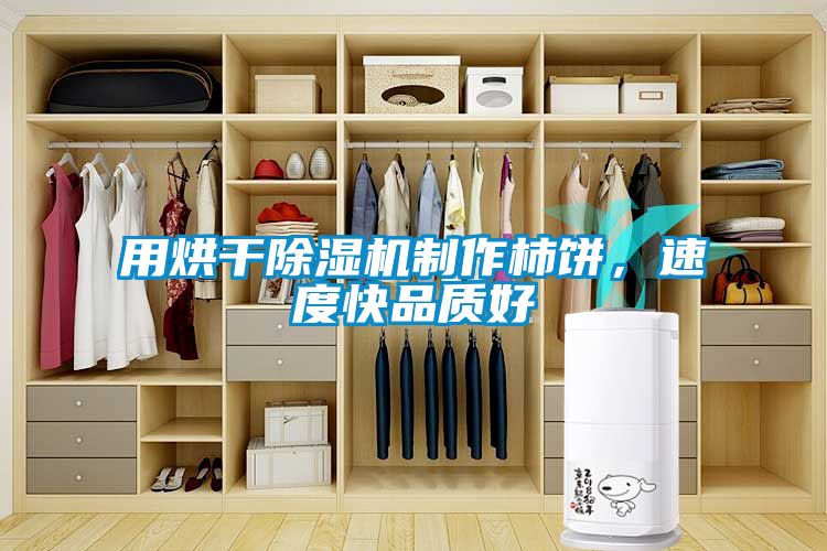 用烘干除濕機制作柿餅,速度快品質好