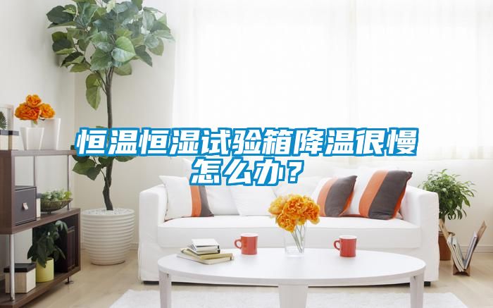 恒溫恒濕試驗箱降溫很慢怎么辦？