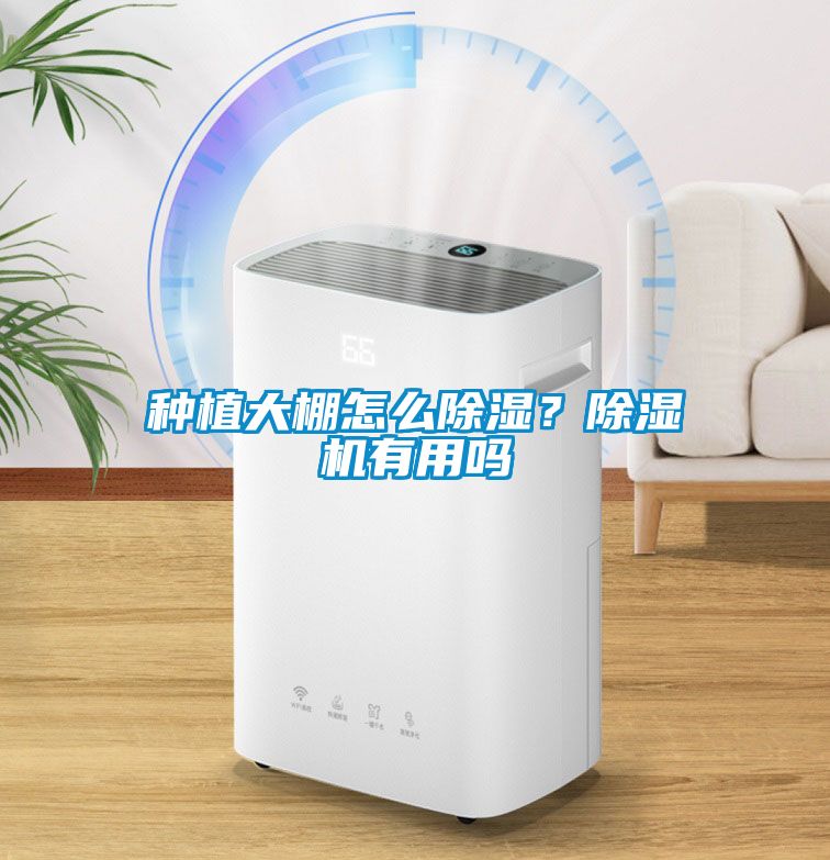 種植大棚怎么除濕？除濕機有用嗎