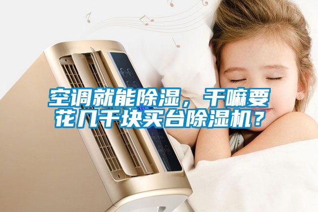 空調就能除濕，干嘛要花幾千塊買臺除濕機？