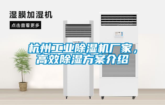 杭州工業(yè)除濕機(jī)廠家,高效除濕方案介紹