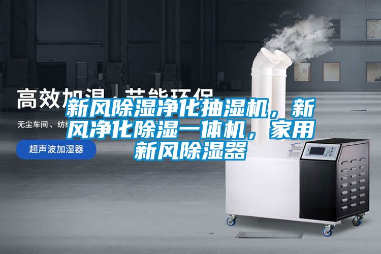 新風除濕凈化抽濕機，新風凈化除濕一體機，家用新風除濕器