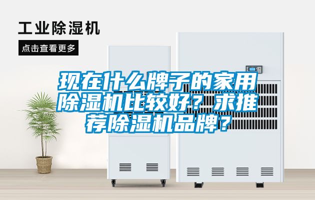 現在什么牌子的家用除濕機比較好？求推薦除濕機品牌？