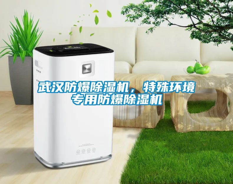 武漢防爆除濕機，特殊環境專用防爆除濕機