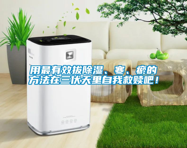 用最有效拔除濕、寒、瘀的方法在三伏天里自我救贖吧！
