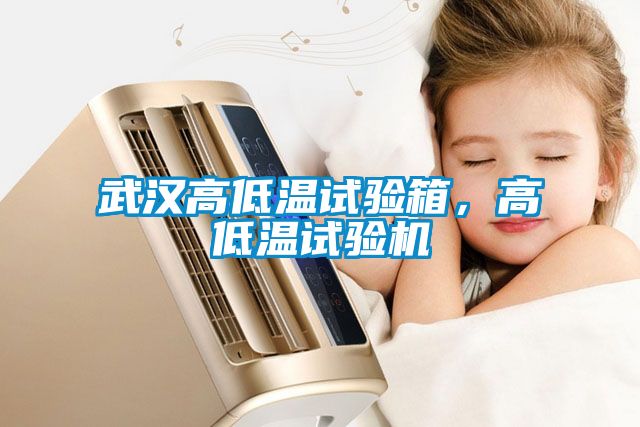 武漢高低溫試驗(yàn)箱,高低溫試驗(yàn)機(jī)