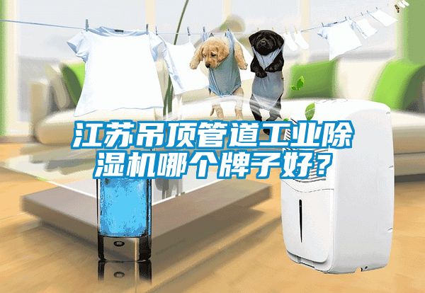 江蘇吊頂管道工業(yè)除濕機(jī)哪個(gè)牌子好？
