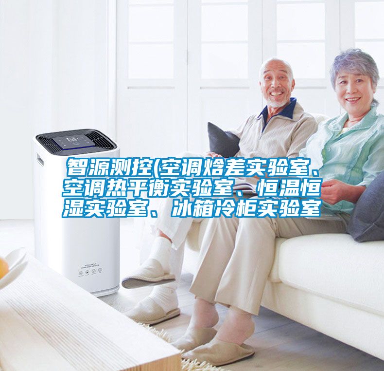 智源測控(空調焓差實驗室、空調熱平衡實驗室、恒溫恒濕實驗室、冰箱冷柜實驗室