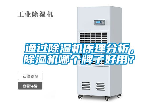 通過除濕機原理分析，除濕機哪個牌子好用？