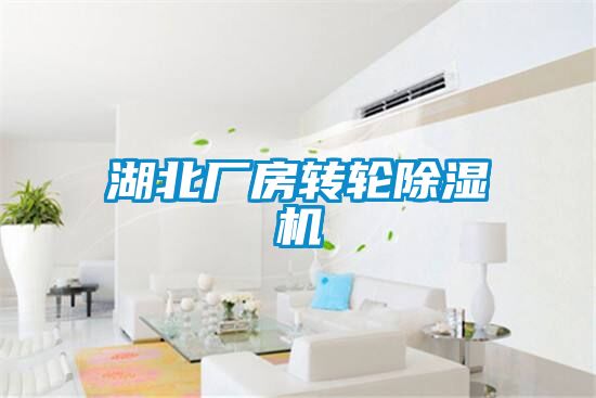 湖北廠房轉輪除濕機
