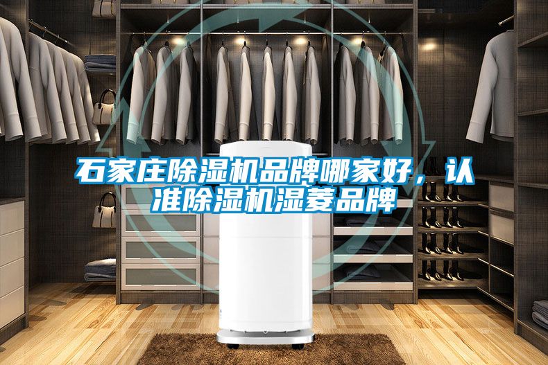 石家莊除濕機品牌哪家好，認準除濕機濕菱品牌