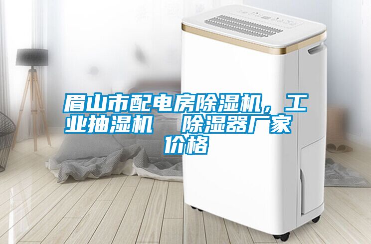 眉山市配電房除濕機,工業(yè)抽濕機 除濕器廠家 價格