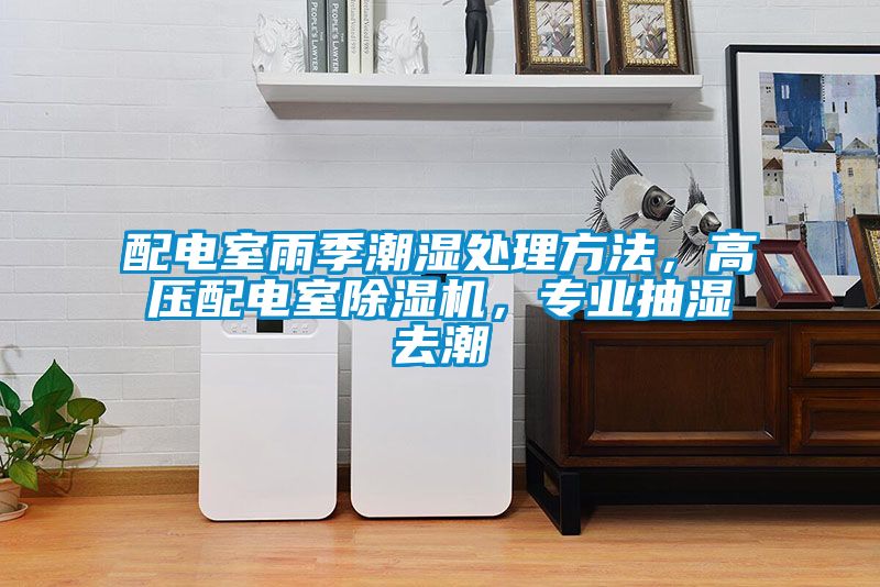 配電室雨季潮濕處理方法，高壓配電室除濕機，專業抽濕去潮
