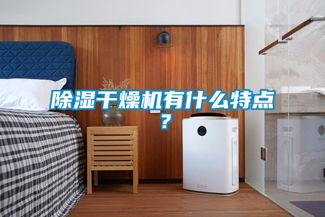 除濕干燥機有什么特點?