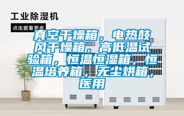 真空干燥箱，電熱鼓風干燥箱，高低溫試驗箱，恒溫恒濕箱，恒溫培養箱，無塵烘箱，醫用