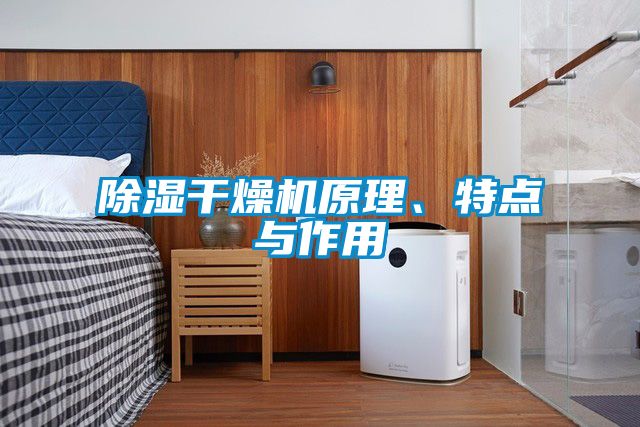 除濕干燥機(jī)原理、特點(diǎn)與作用