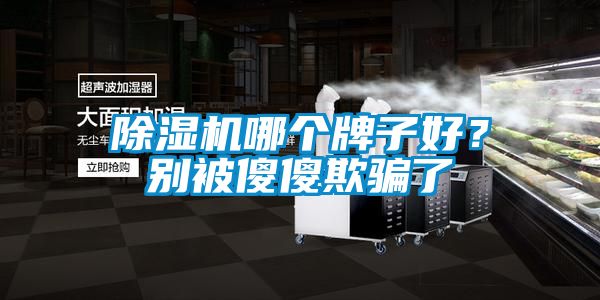 除濕機哪個牌子好？別被傻傻欺騙了