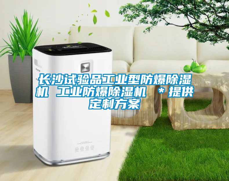 長沙試驗品工業型防爆除濕機 工業防爆除濕機 *提供定制方案