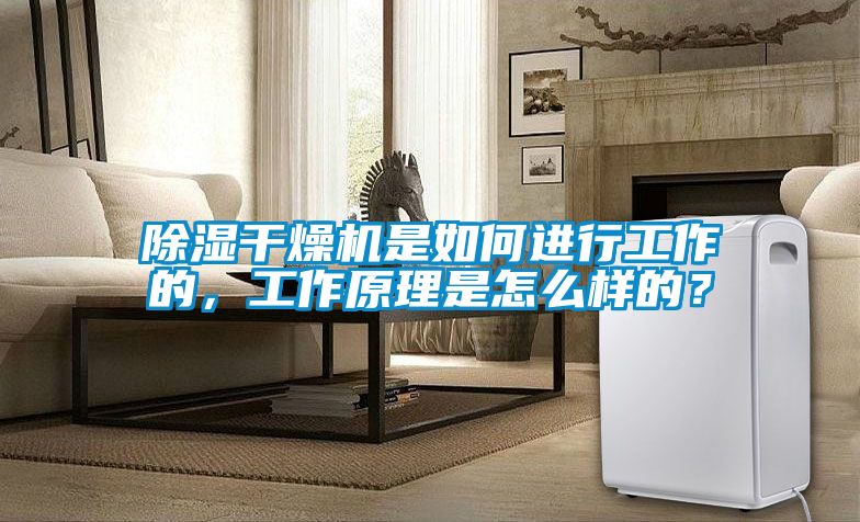 除濕干燥機是如何進行工作的，工作原理是怎么樣的？