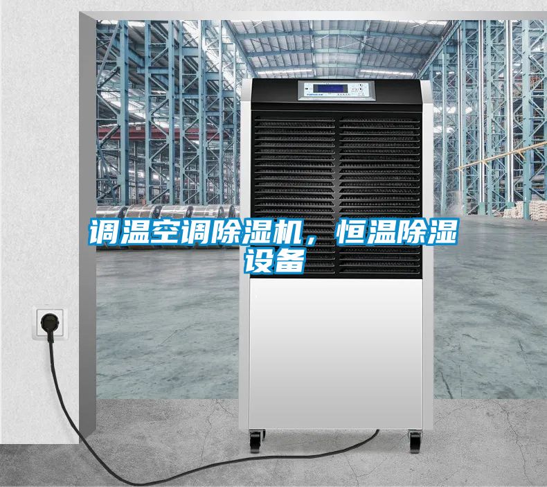 調(diào)溫空調(diào)除濕機(jī),恒溫除濕設(shè)備