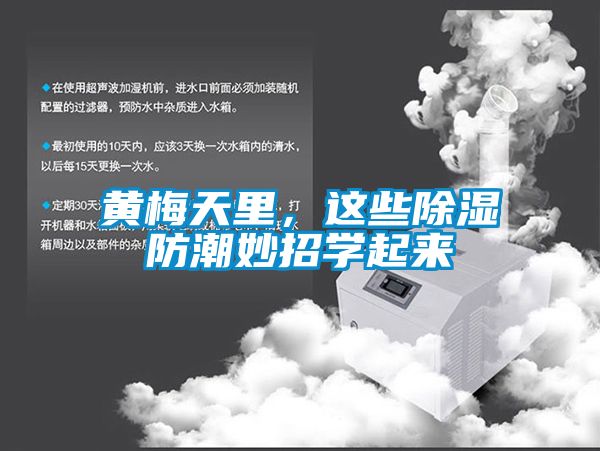 黃梅天里,這些除濕防潮妙招學起來